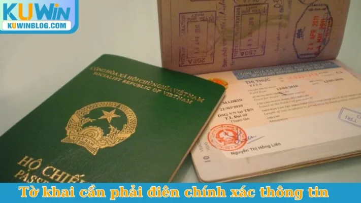 Tờ khai cần phải điên chính xác thông tin